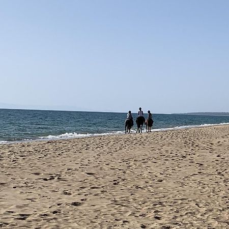 White Villas Douneika  Zewnętrze zdjęcie